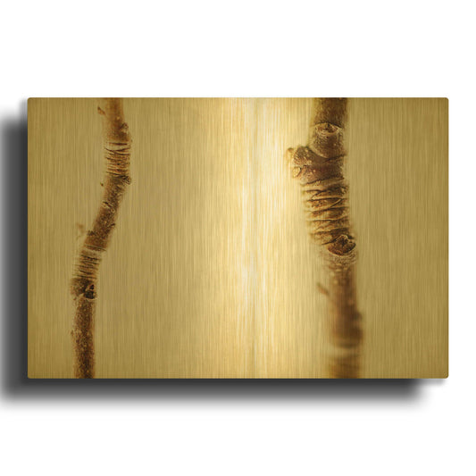 'And Stones' By Jessica Rogers Gold Metal Wall Art