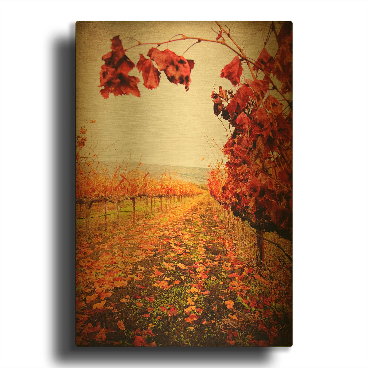 'Autumn Vines' By Jessica Rogers Gold Metal Wall Art