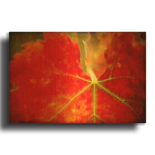 'Autumn' By Jessica Rogers Gold Metal Wall Art