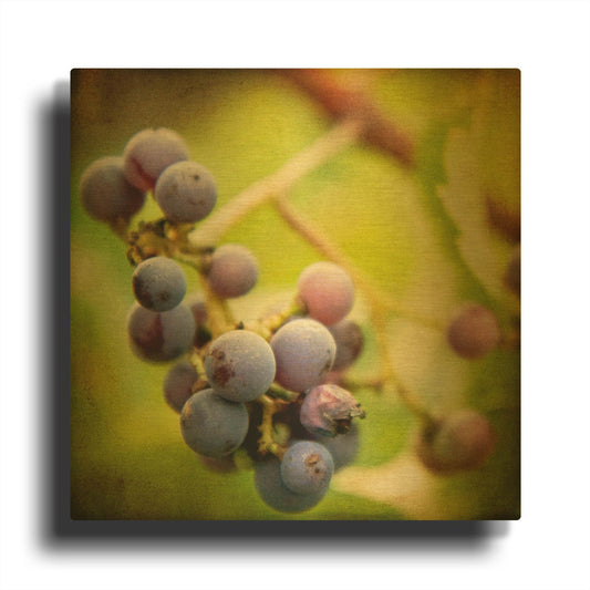 'Awaiting Harvest' By Jessica Rogers Gold Metal Wall Art