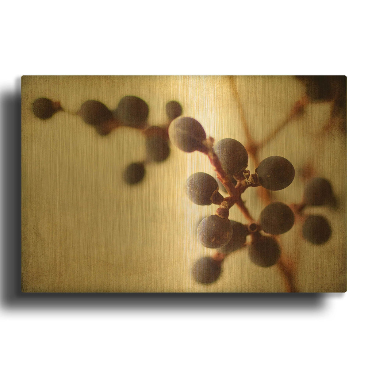 'Berries 3' By Jessica Rogers Gold Metal Wall Art
