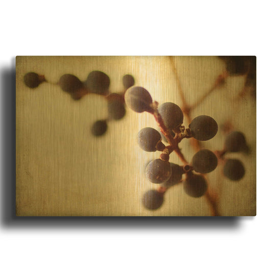 'Berries 3' By Jessica Rogers Gold Metal Wall Art