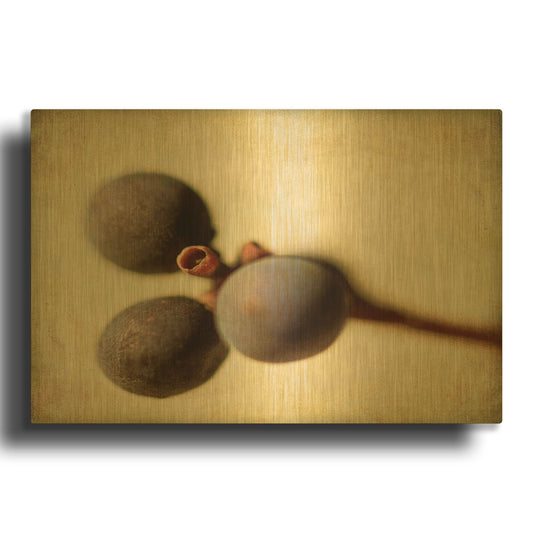 'Berries 4' By Jessica Rogers Gold Metal Wall Art