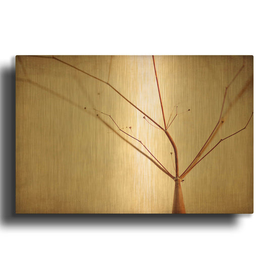'Desert Afterlife 1A' By Jessica Rogers Gold Metal Wall Art