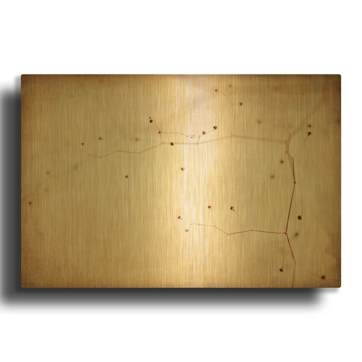 'Desert Afterlife 1B' By Jessica Rogers Gold Metal Wall Art
