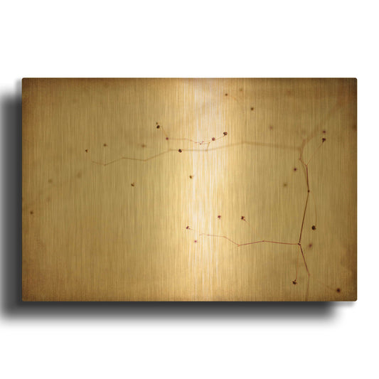 'Desert Afterlife 1B' By Jessica Rogers Gold Metal Wall Art