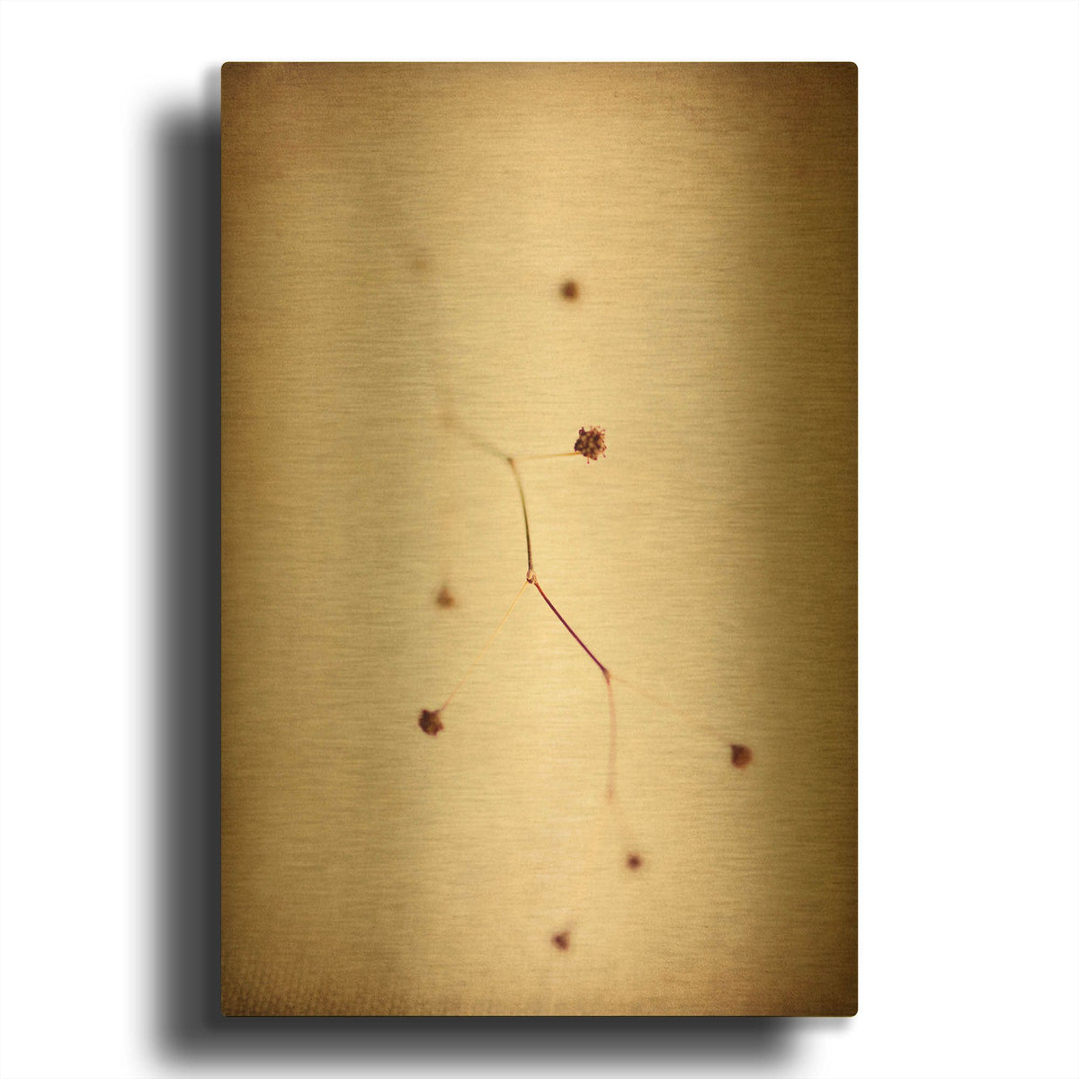 'Desert Afterlife 1C' By Jessica Rogers Gold Metal Wall Art