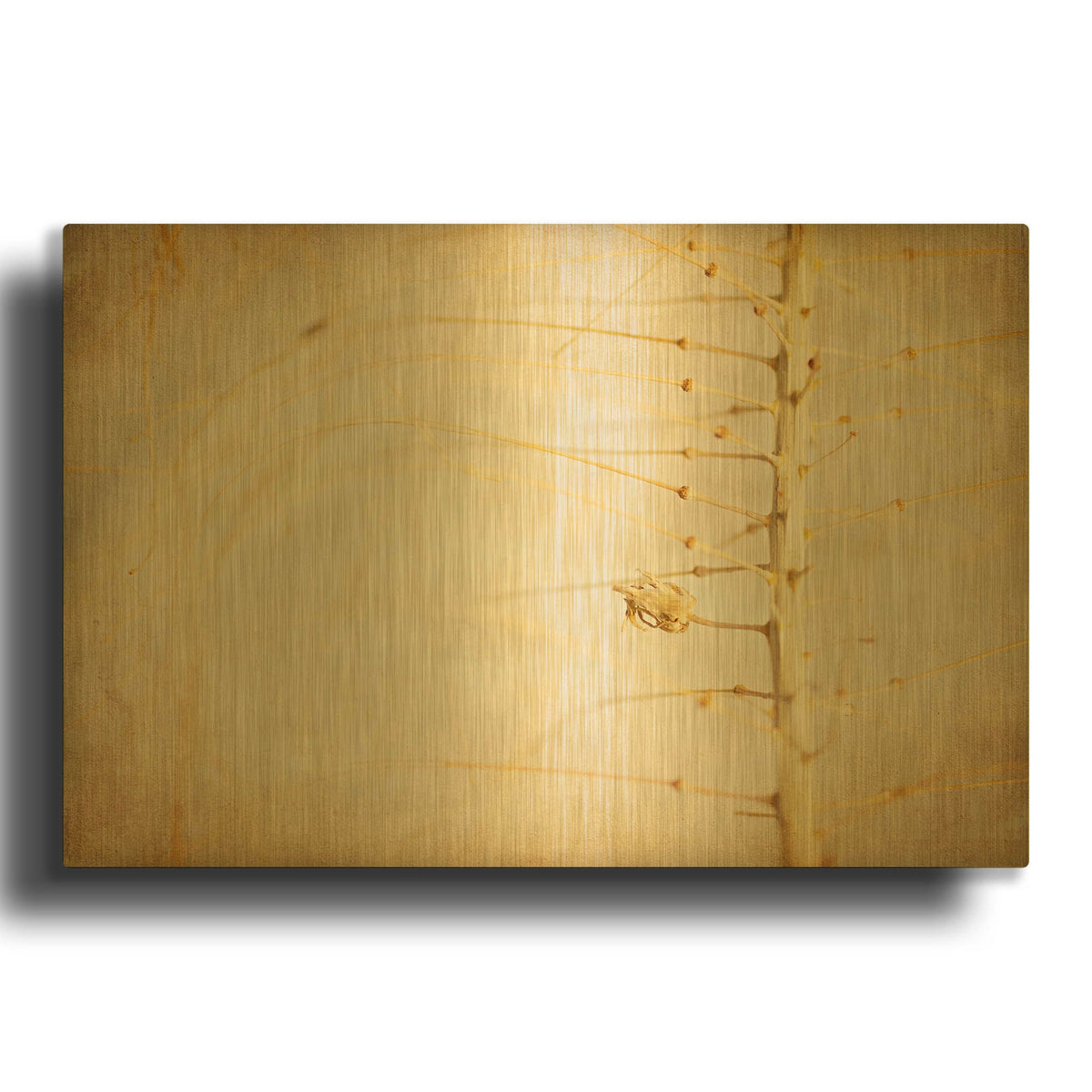 'Desert Afterlife 2A' By Jessica Rogers Gold Metal Wall Art