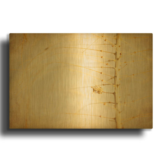 'Desert Afterlife 2A' By Jessica Rogers Gold Metal Wall Art