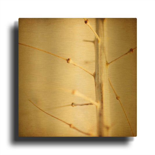 'Desert Afterlife 2C' By Jessica Rogers Gold Metal Wall Art