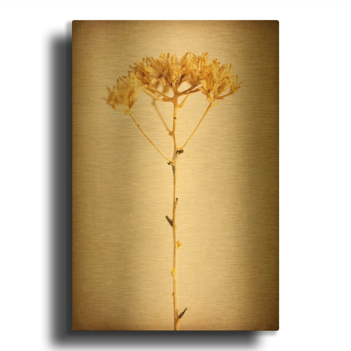'Desert Afterlife 3' By Jessica Rogers Gold Metal Wall Art