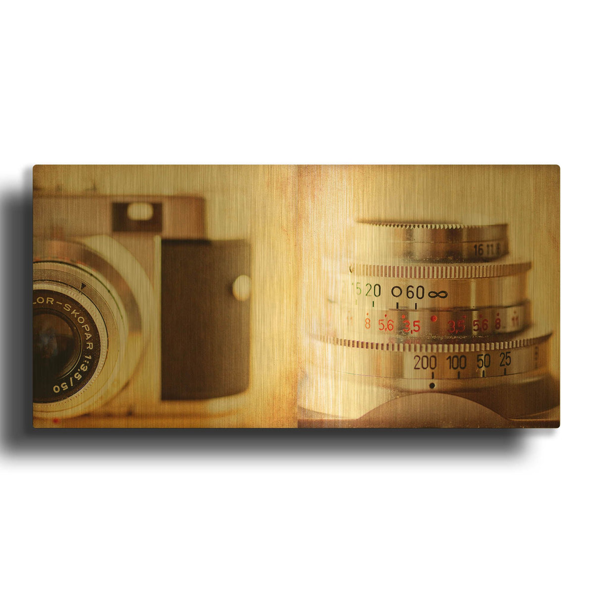 'Diptych Voigtlander' By Jessica Rogers Gold Metal Wall Art