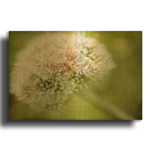 'Ever So Softly' By Jessica Rogers Gold Metal Wall Art