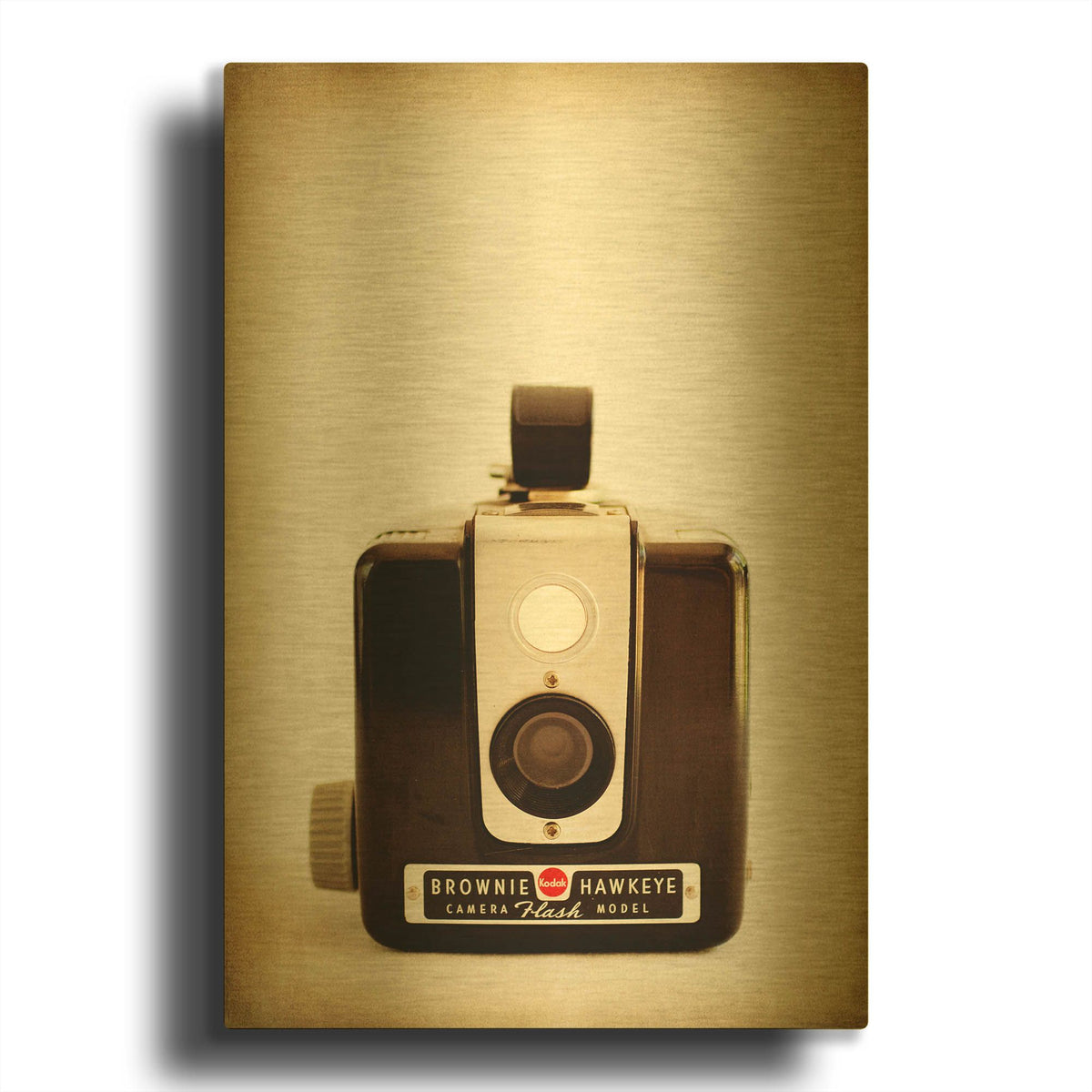 'Flash Model' By Jessica Rogers Gold Metal Wall Art