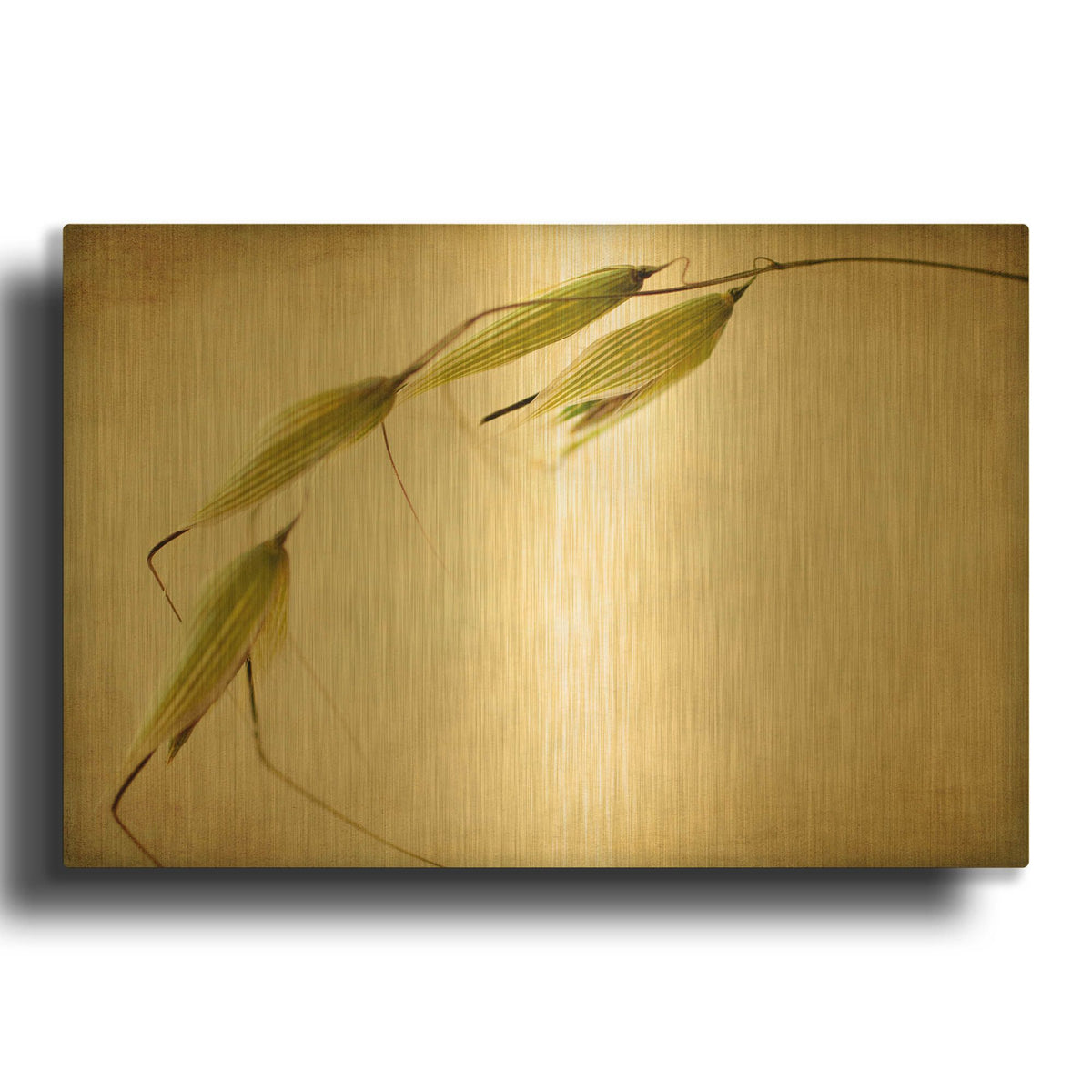 'Fox Tails' By Jessica Rogers Gold Metal Wall Art