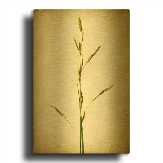 'Grasses 1' By Jessica Rogers Gold Metal Wall Art