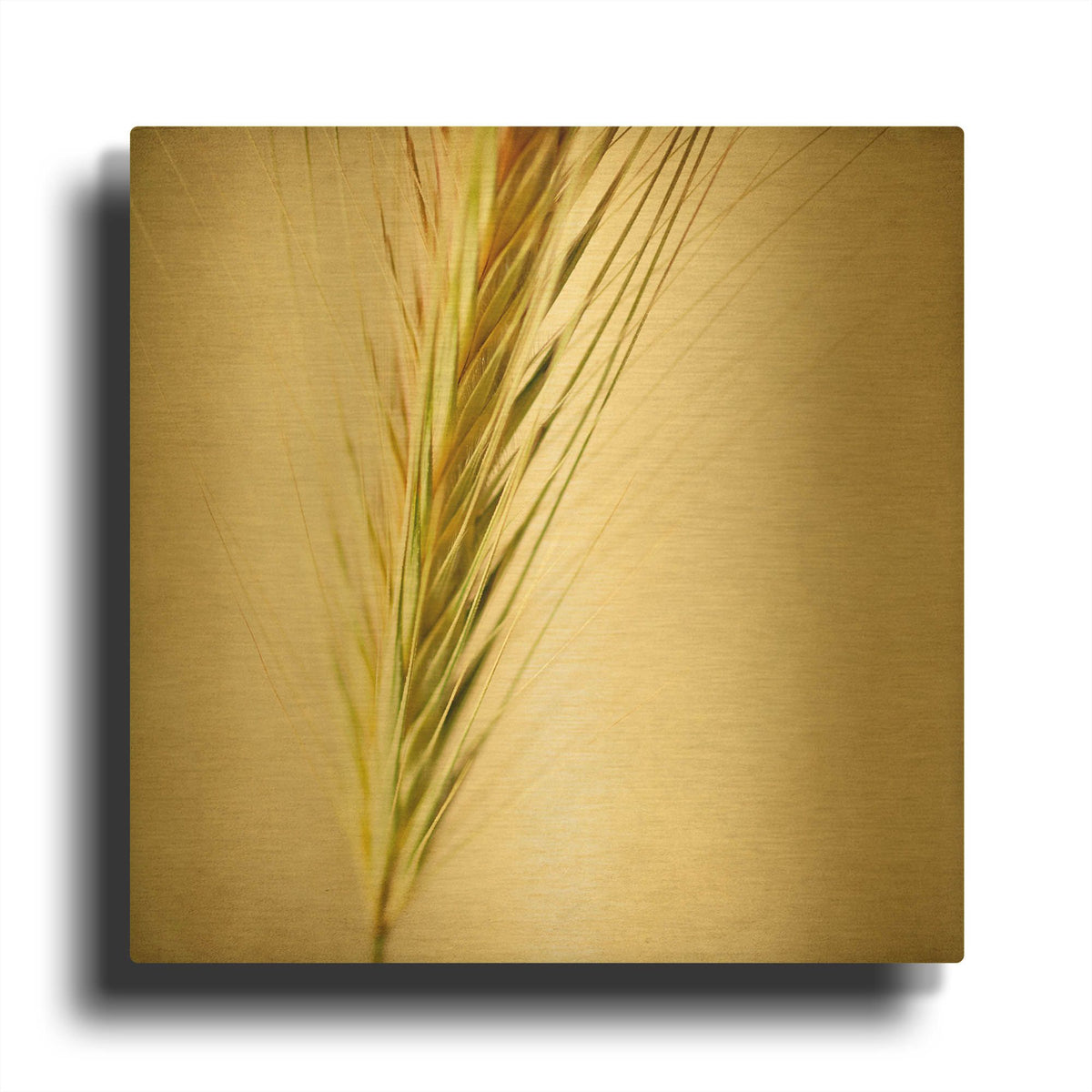 'Grasses 3' By Jessica Rogers Gold Metal Wall Art