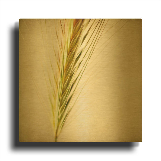 'Grasses 3' By Jessica Rogers Gold Metal Wall Art