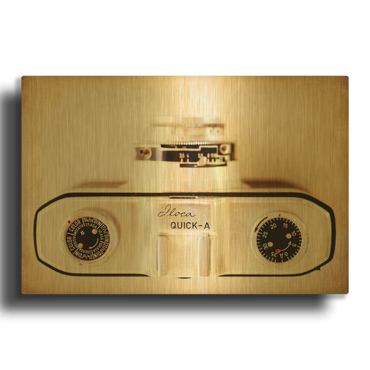 'Iloca Quick' By Jessica Rogers Gold Metal Wall Art