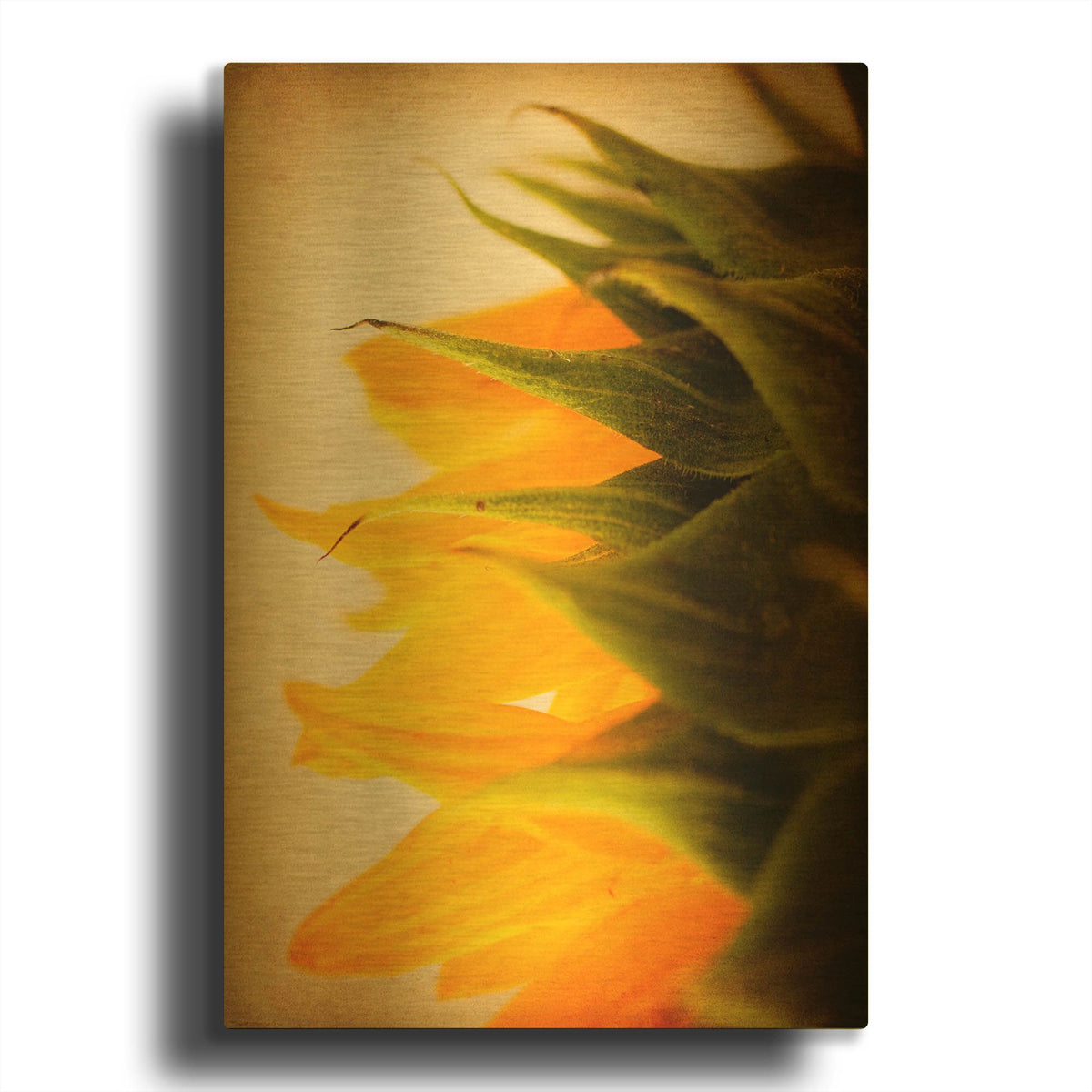'Late Bloomer' By Jessica Rogers Gold Metal Wall Art