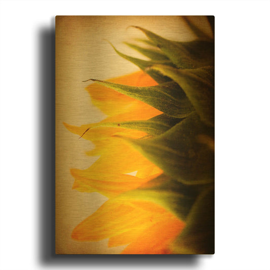 'Late Bloomer' By Jessica Rogers Gold Metal Wall Art