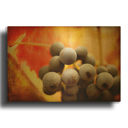 'Late Harvest' By Jessica Rogers Gold Metal Wall Art