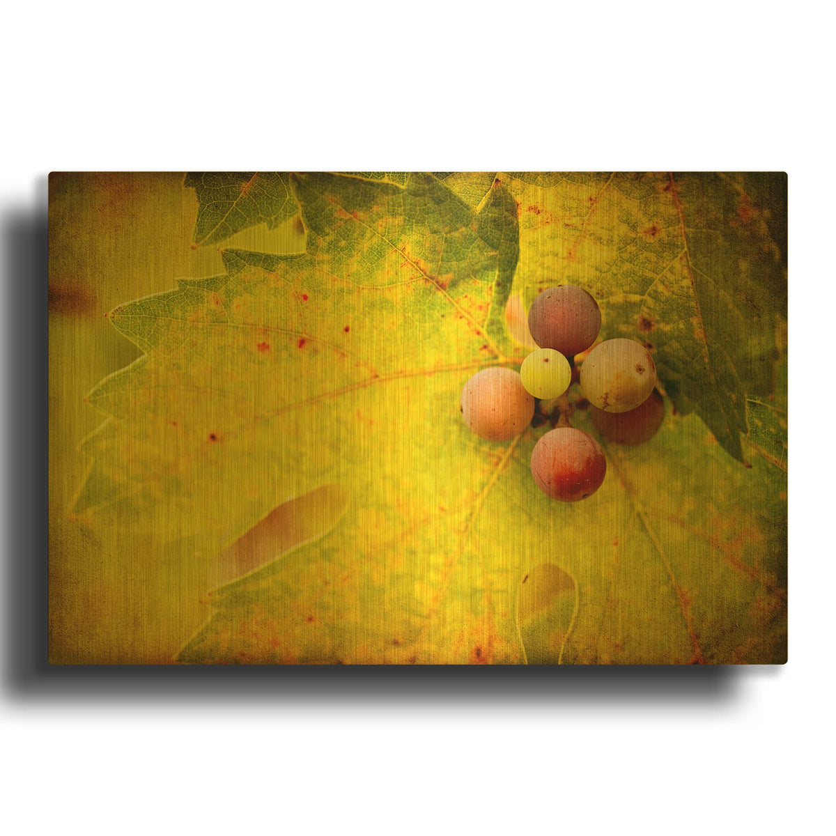 'Leaf And Cluster 1' By Jessica Rogers Gold Metal Wall Art