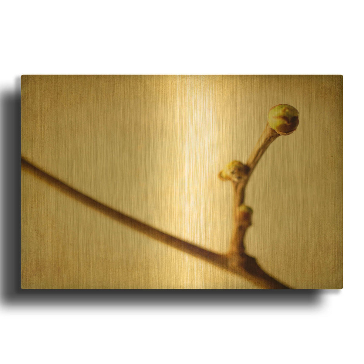 'Mulberry 1' By Jessica Rogers Gold Metal Wall Art
