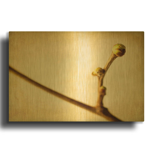 'Mulberry 1' By Jessica Rogers Gold Metal Wall Art