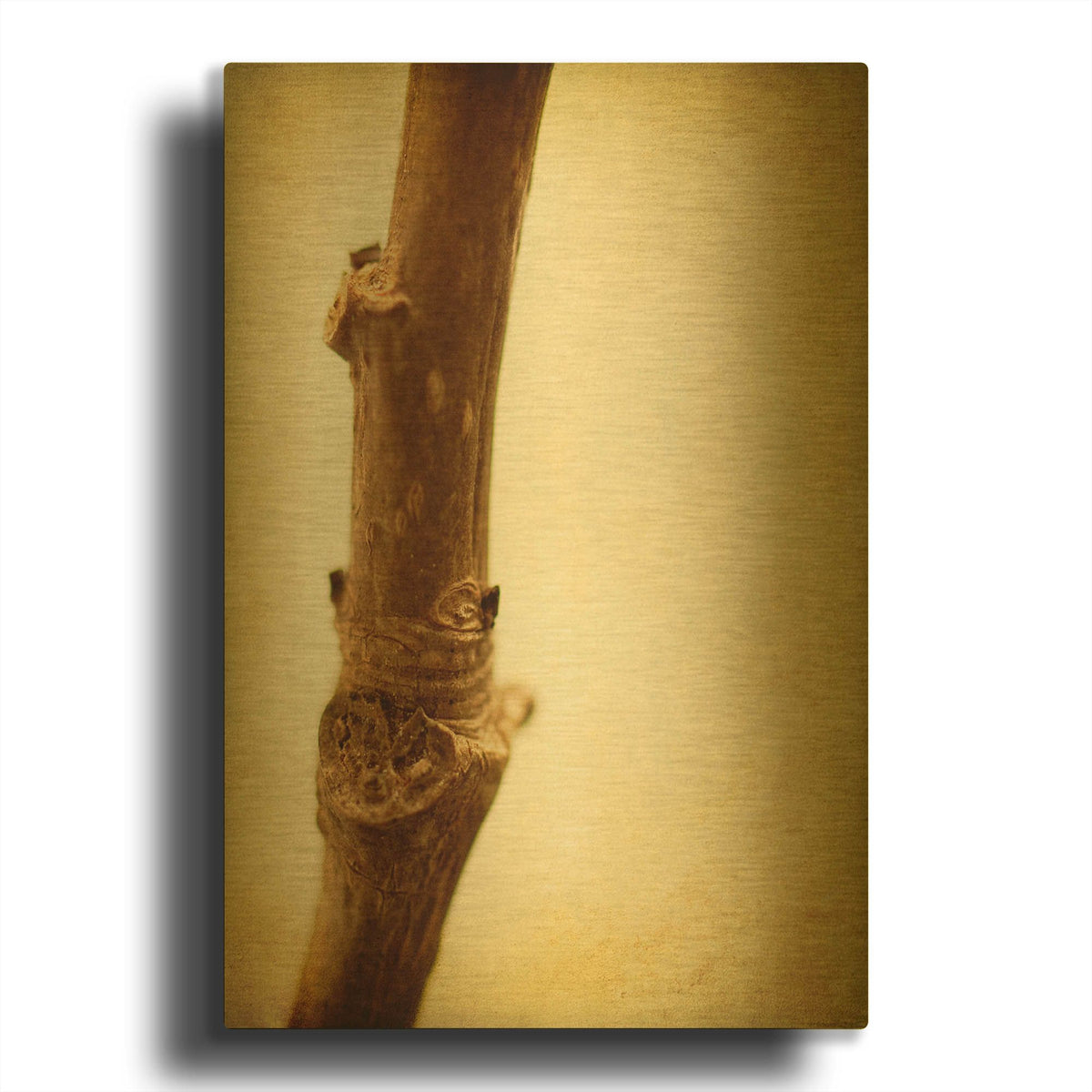 'Mulberry 3' By Jessica Rogers Gold Metal Wall Art
