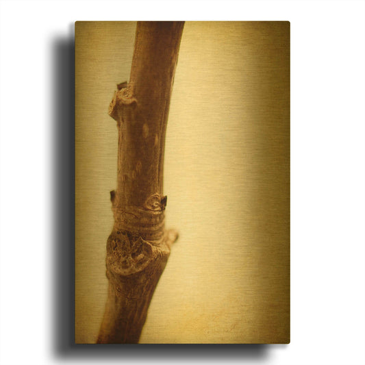 'Mulberry 3' By Jessica Rogers Gold Metal Wall Art