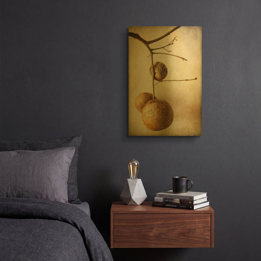 'Oak Pods 1' By Jessica Rogers Gold Metal Wall Art