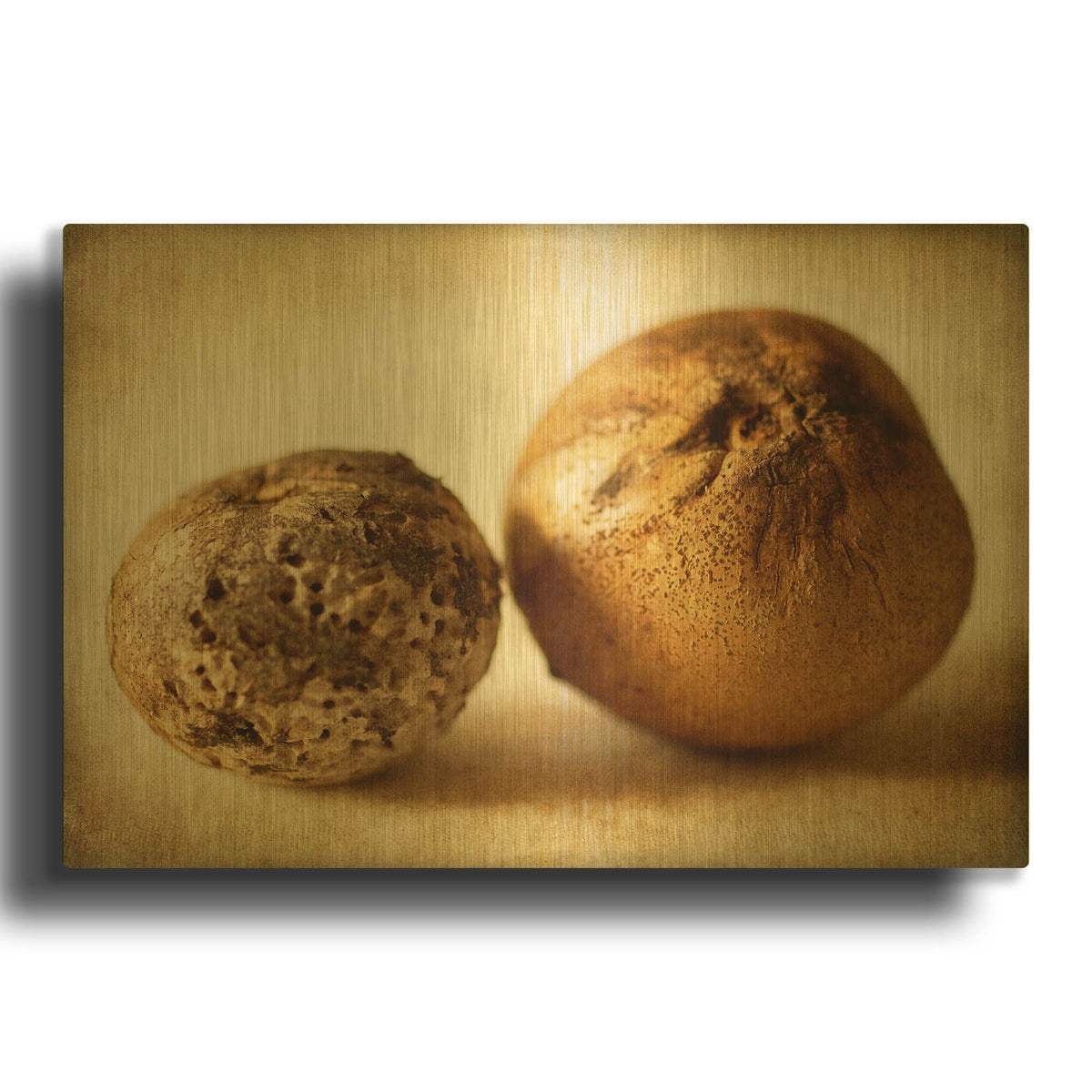 'Oak Pods 2' By Jessica Rogers Gold Metal Wall Art