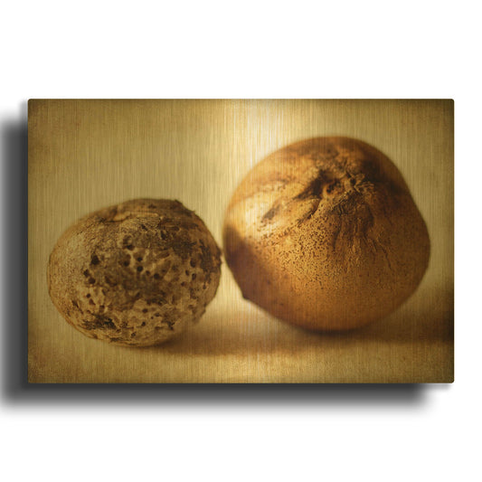 'Oak Pods 2' By Jessica Rogers Gold Metal Wall Art