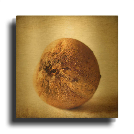 'Oak Pods 4' By Jessica Rogers Gold Metal Wall Art