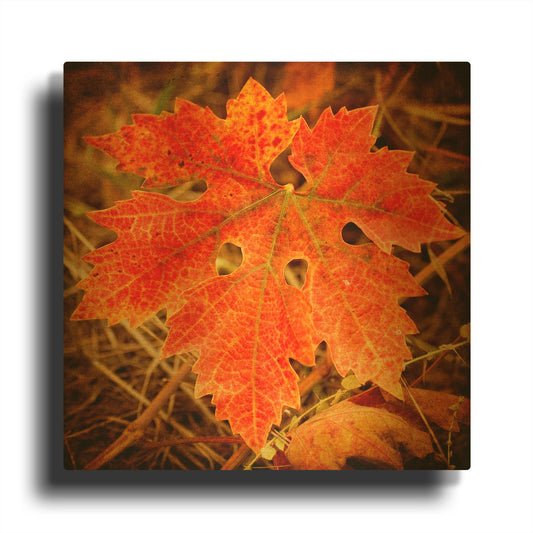 'Ochre Foliage' By Jessica Rogers Gold Metal Wall Art