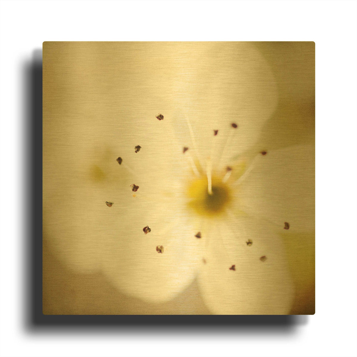 'Of Spring' By Jessica Rogers Gold Metal Wall Art