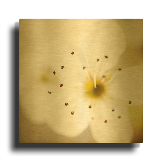 'Of Spring' By Jessica Rogers Gold Metal Wall Art