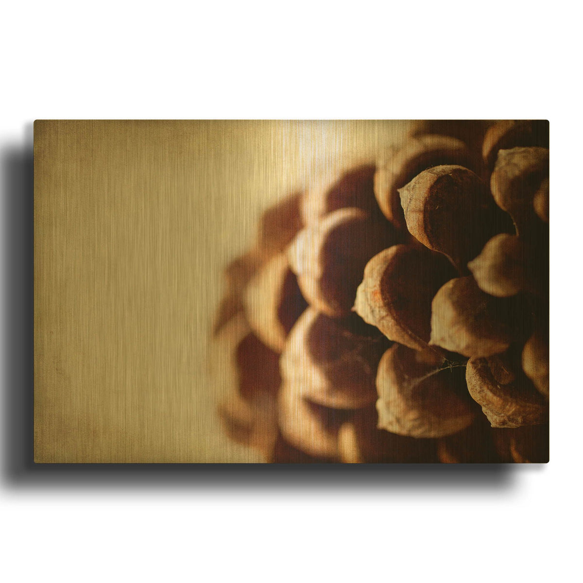 'Pine Cone' By Jessica Rogers Gold Metal Wall Art
