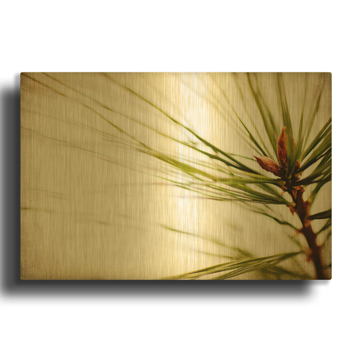 'Pine Needles' By Jessica Rogers Gold Metal Wall Art