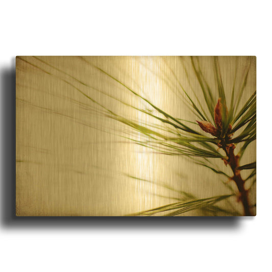 'Pine Needles' By Jessica Rogers Gold Metal Wall Art