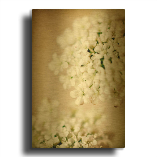 'She Wore Lace' By Jessica Rogers Gold Metal Wall Art