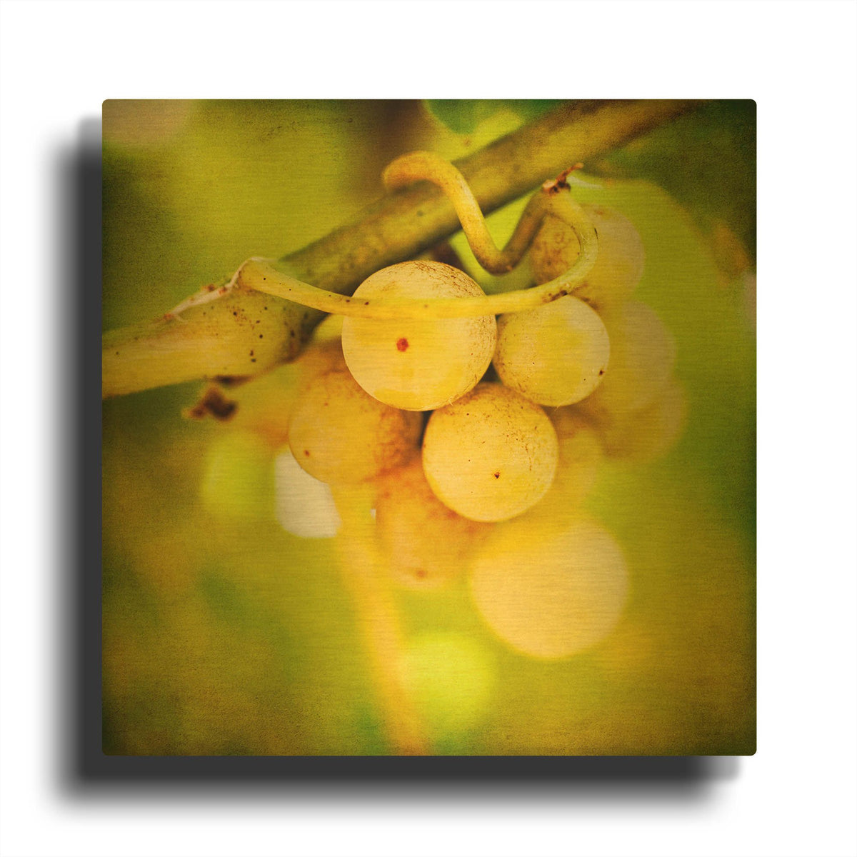 'Spring Fruit' By Jessica Rogers Gold Metal Wall Art