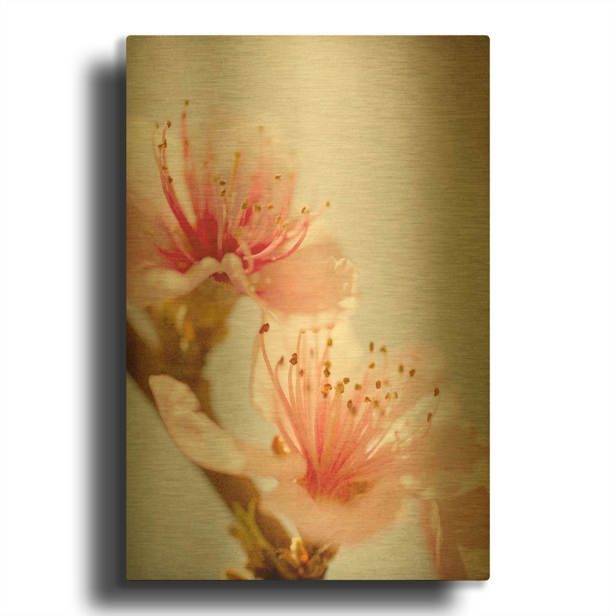 'Spring Whispers 1' By Jessica Rogers Gold Metal Wall Art