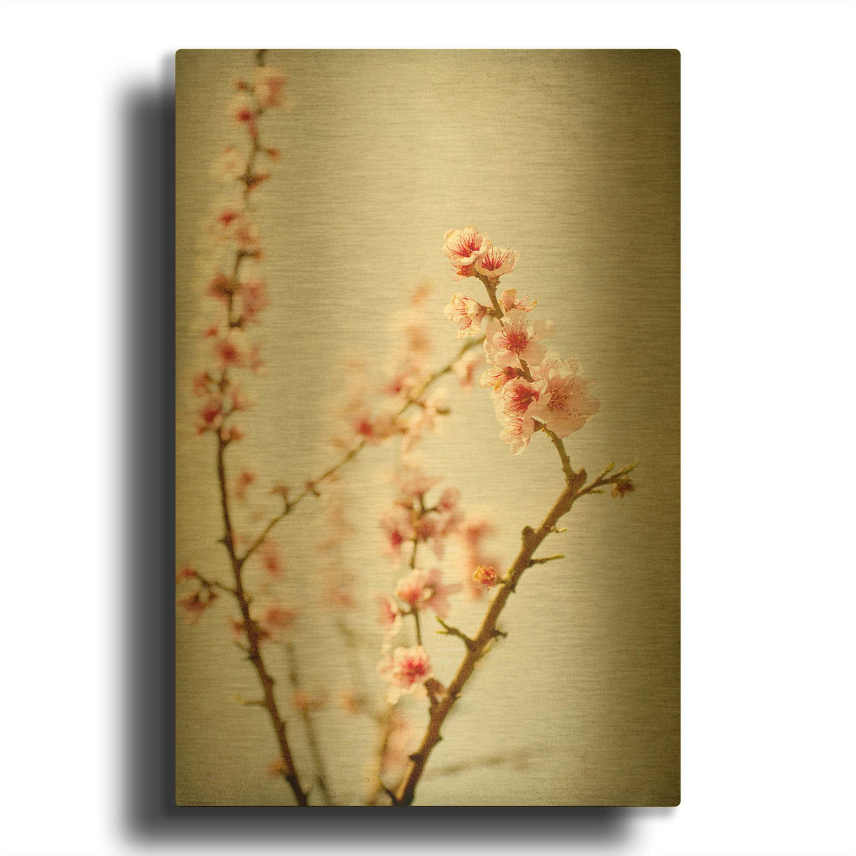 'Spring Whispers 2' By Jessica Rogers Gold Metal Wall Art