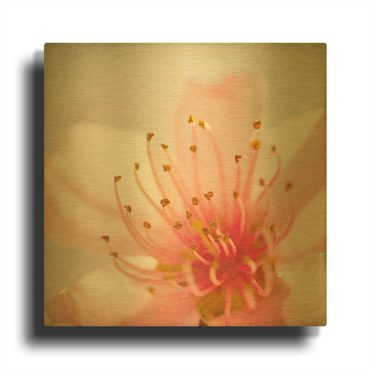 'Spring Whispers 3' By Jessica Rogers Gold Metal Wall Art
