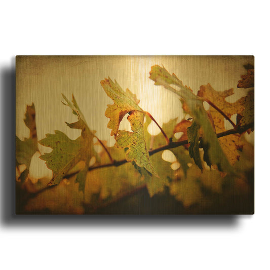 'Sunset Vines' By Jessica Rogers Gold Metal Wall Art