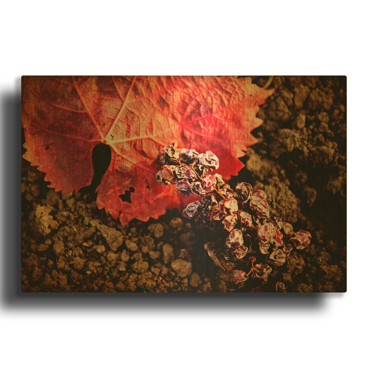 'The Fallen' By Jessica Rogers Gold Metal Wall Art