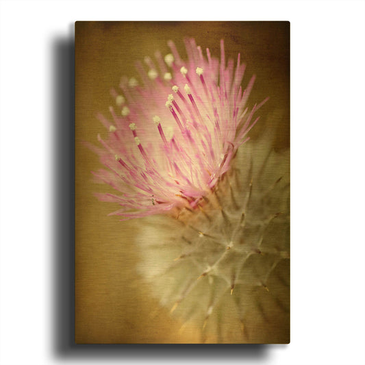 'Thistle Bloom' By Jessica Rogers Gold Metal Wall Art