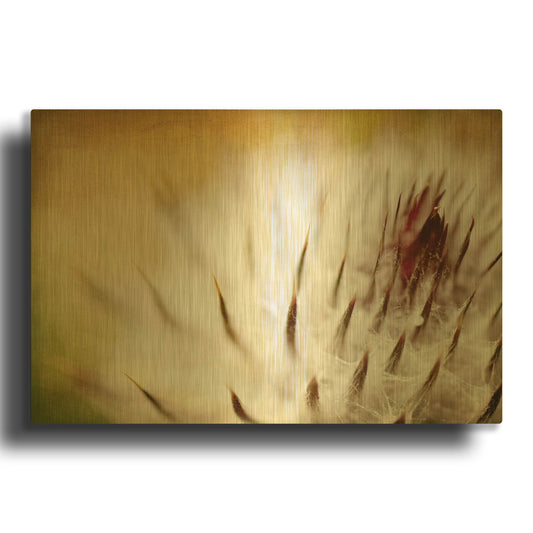'Thistle Bud' By Jessica Rogers Gold Metal Wall Art